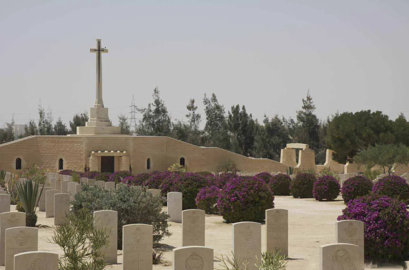 Day Tour to World War II Cemeteries in El Alamein from Alexandria Port
