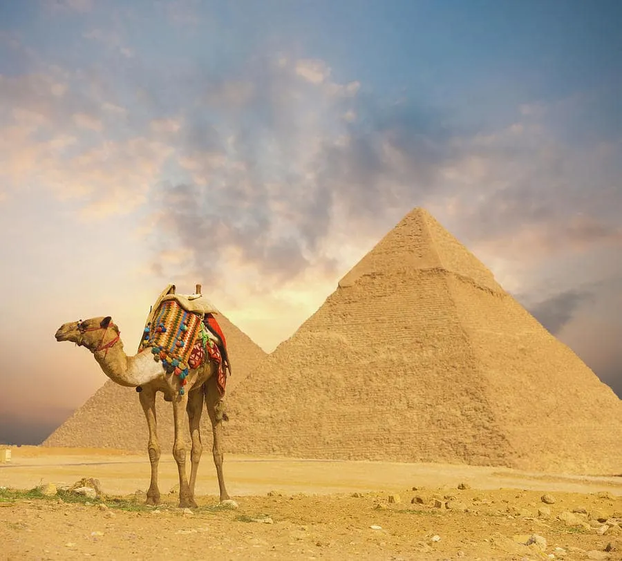 Two Days Tour to Cairo From Alexandria Port