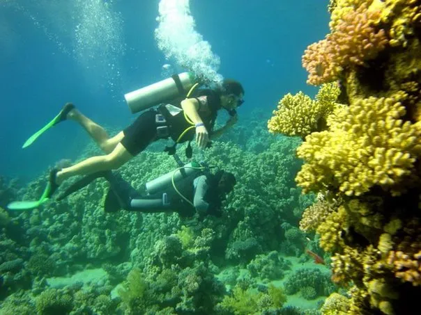 Introductory Scuba Diving in Marsa  Alam