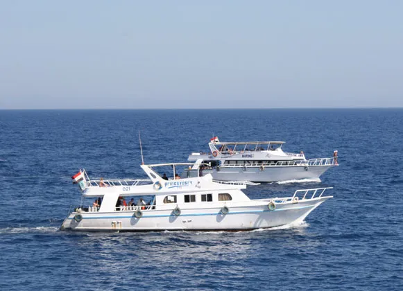 Day Sea Tours in Marsa Alam Day Sea Tours in Marsa Alam